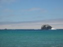 Pacific