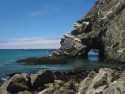 Pacific