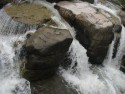 Small Stream