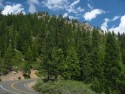 Hillside and Road