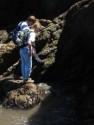 The Path To Bird Rock