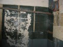 Inside Shelter