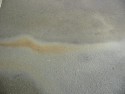 Oil