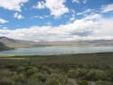 Mono Lake
