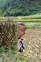 Child on Farm