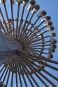 Spiral Street Lamp