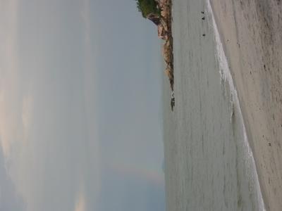 Shoreline
