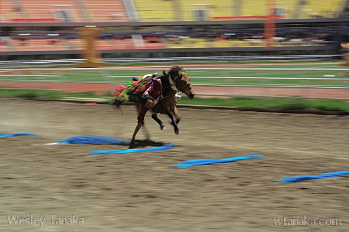 Hada Race