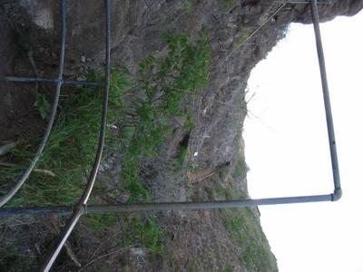 Stairs Up