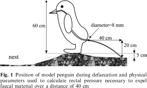 [Image: penguin.png]